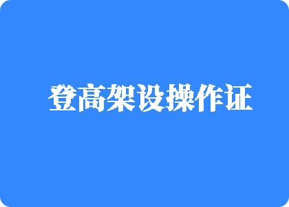 骚逼电屌杂交骚逼电影网址是多少登高架设操作证